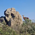 Casa Nel Bosco, Un Oasi Di Pace بيت للعطل سيكيتو