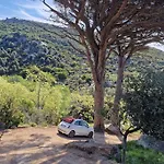 Casa Nel Bosco, Un Oasi Di Pace *