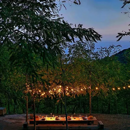 Casa Nel Bosco, Un Oasi Di Pace * Seccheto