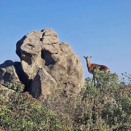 Casa Nel Bosco, Un Oasi Di Pace Holiday home Seccheto