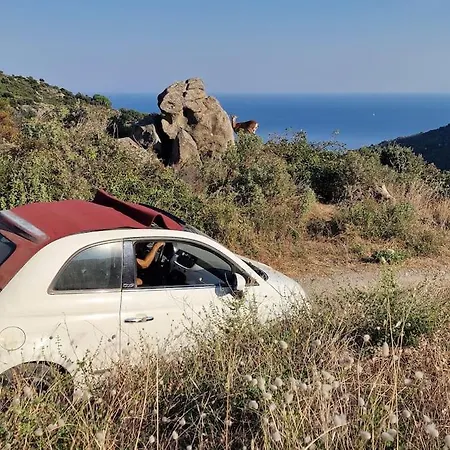 Casa Nel Bosco, Un Oasi Di Pace Seccheto