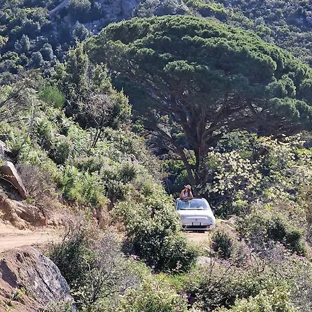 Casa Nel Bosco, Un Oasi Di Pace 度假居
