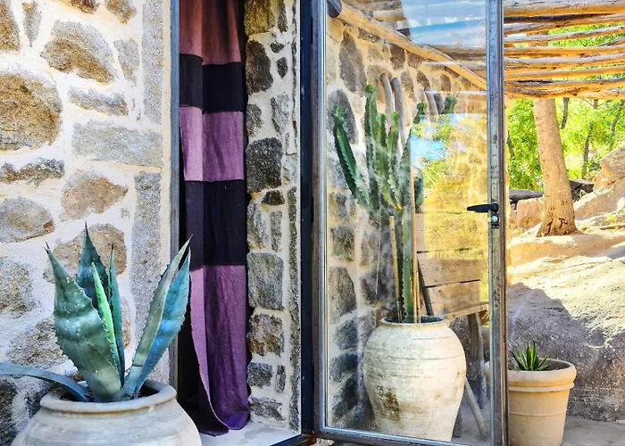 Vakantiehuis Casa Nel Bosco, Un Oasi Di Pace Seccheto