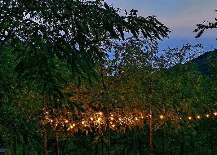 Casa Nel Bosco, Un Oasi Di Pace * Seccheto