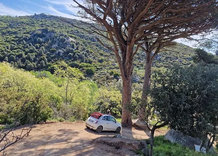 Casa Nel Bosco, Un Oasi Di Pace *