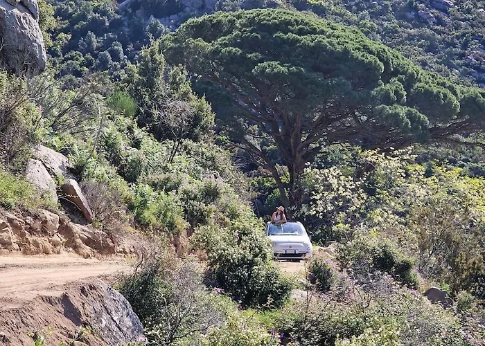 Casa Nel Bosco, Un Oasi Di Pace Vakantiehuis